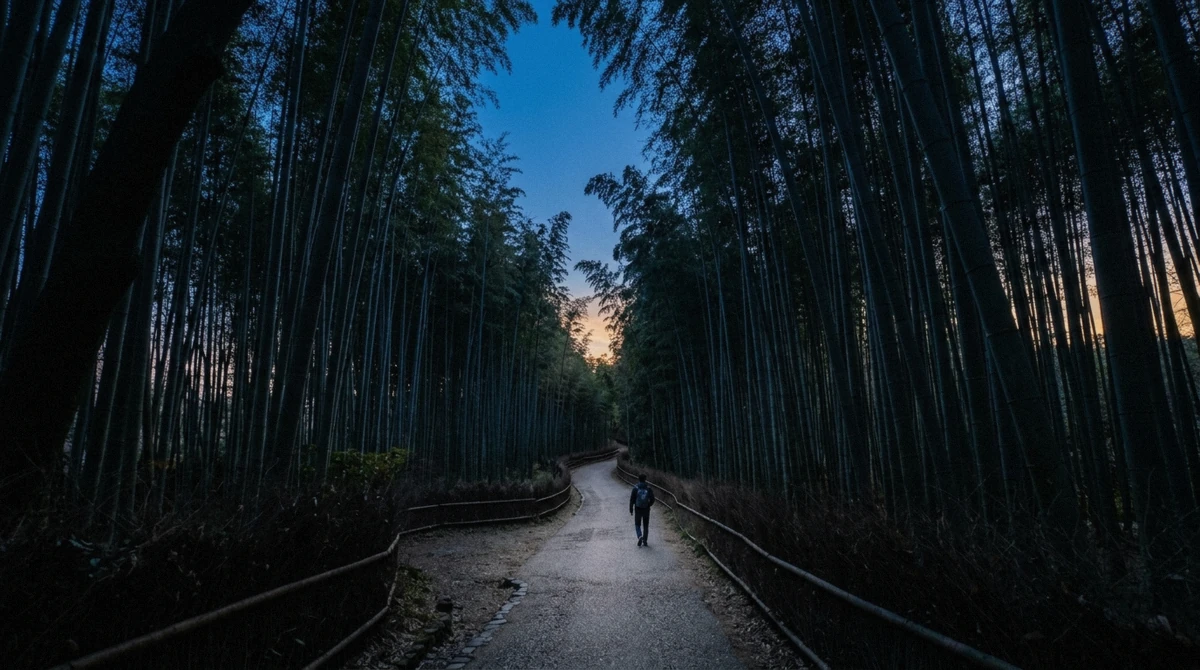 The Arashiyama Bamboo Forest path at blue hour after sunset, culms silhouetted against the last light in Kyoto