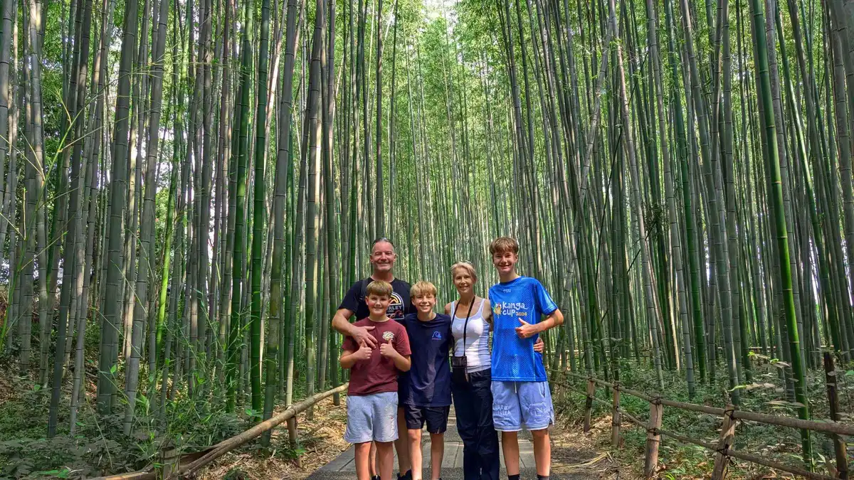 Guided group walking the gravel path between towering green culms in the Arashiyama Bamboo Forest, Kyoto, Japan